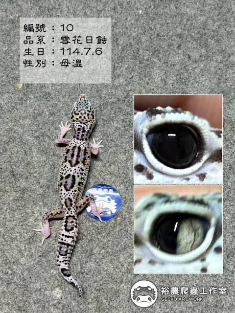 編號10