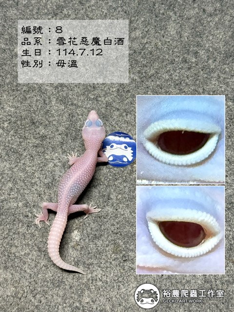 編號8