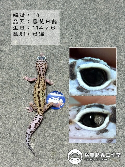 編號14