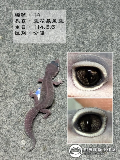編號14