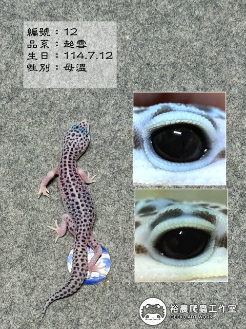編號12