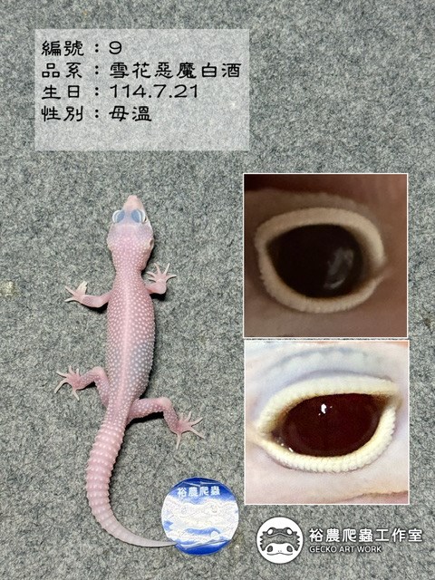 編號9