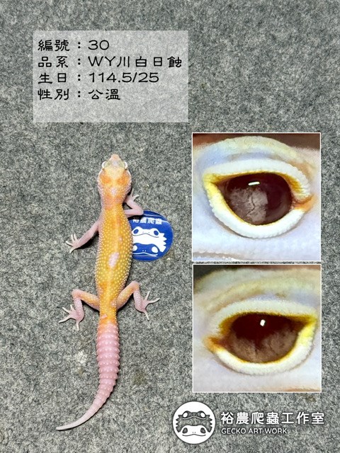 編號30