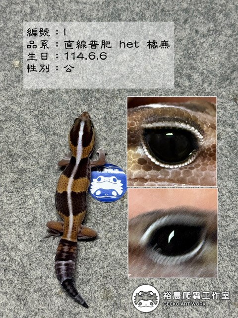 編號I