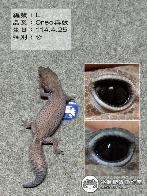 編號L