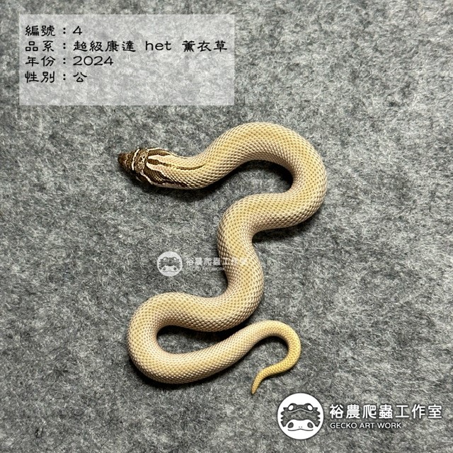 編號4