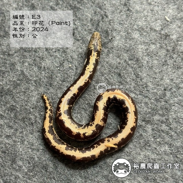 編號E3