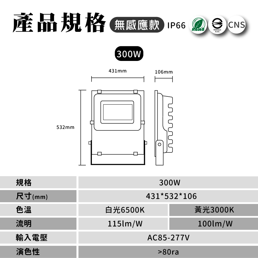 ◎LED戶外防水投光燈/投射燈 300W，IP66，CNS認證，工業用全電壓