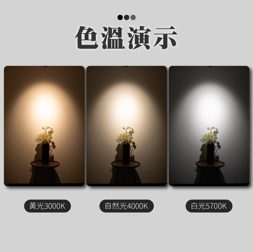 ◎LED磁吸軌道燈具 長條 泛光燈/散光燈，全光譜，白光/自然光/黃光，12W/24W/36W