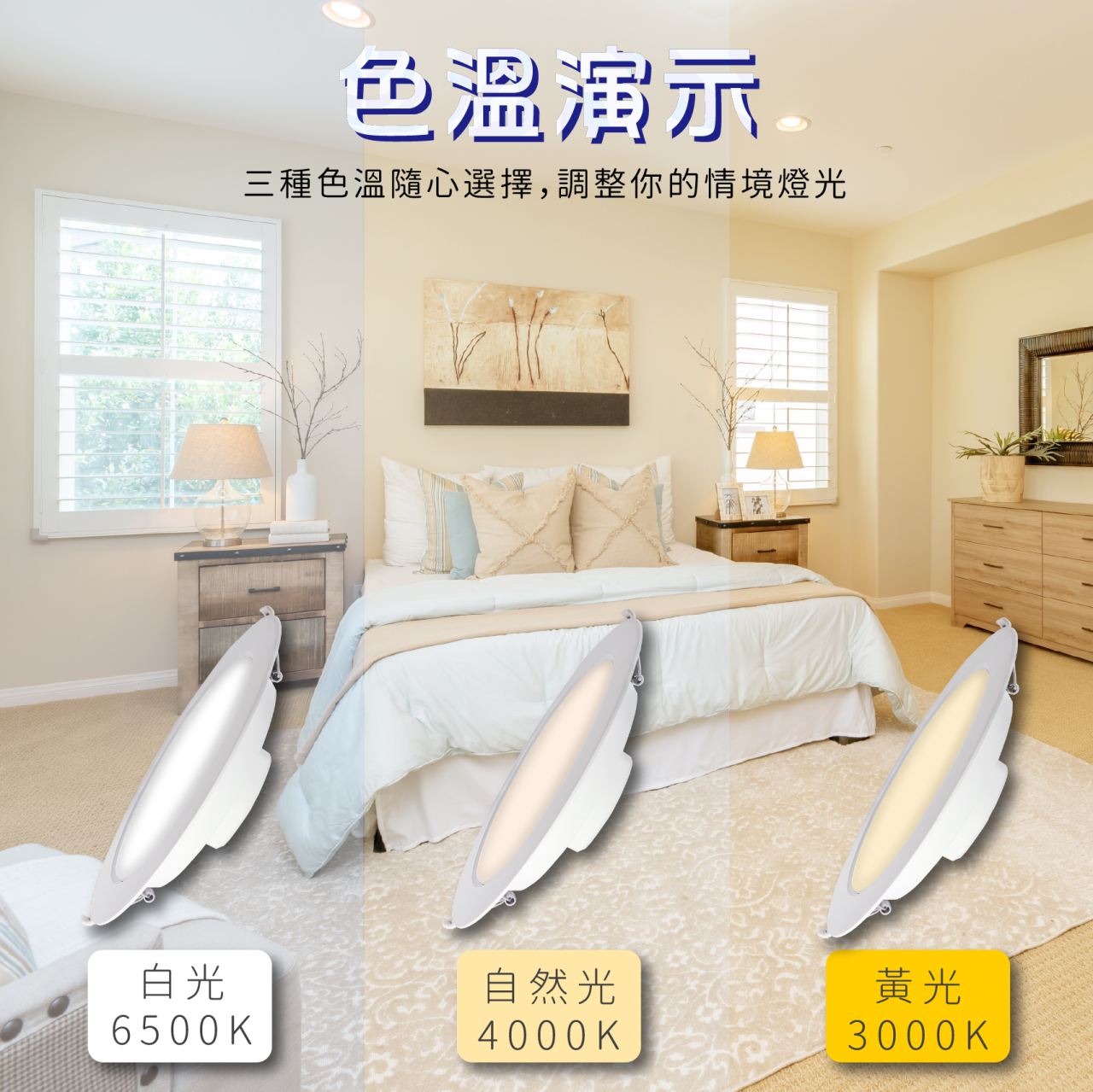 ◎亮博士 LED IP65防水嵌燈 15W/33W 開孔15CM/20.5CM 三種燈色
