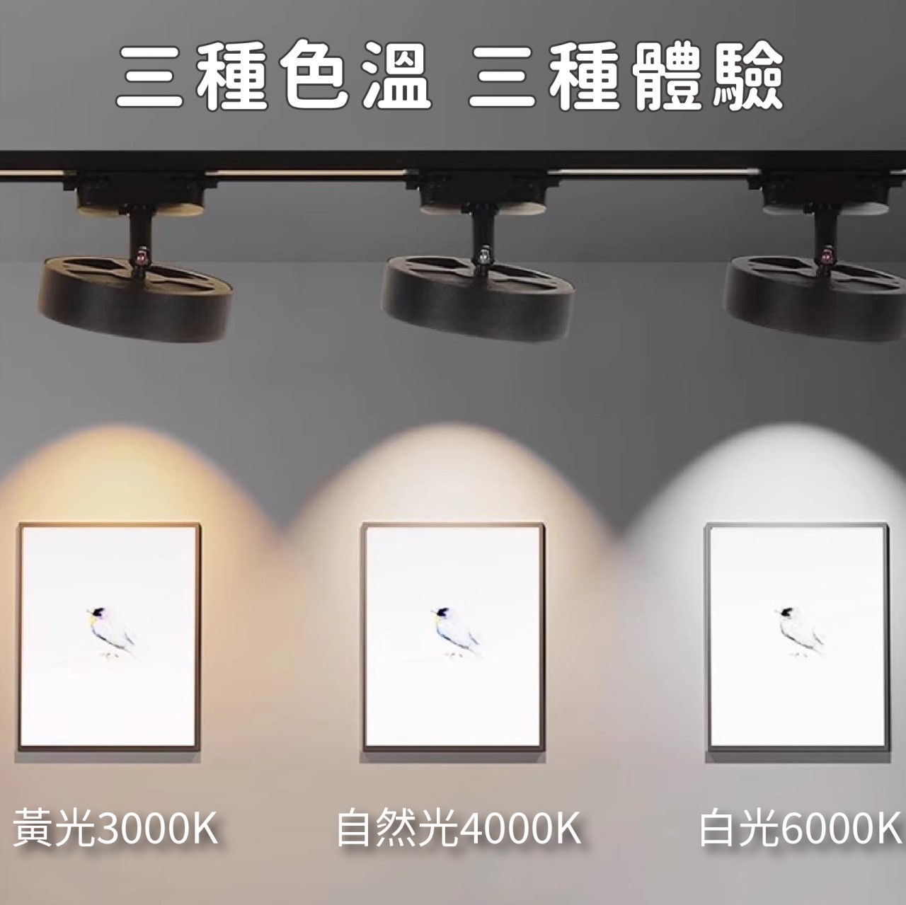 ◎LED 20W 散光圓形軌道燈/泛光燈，黑/白，三種色溫，散光160度，高光效，無藍光