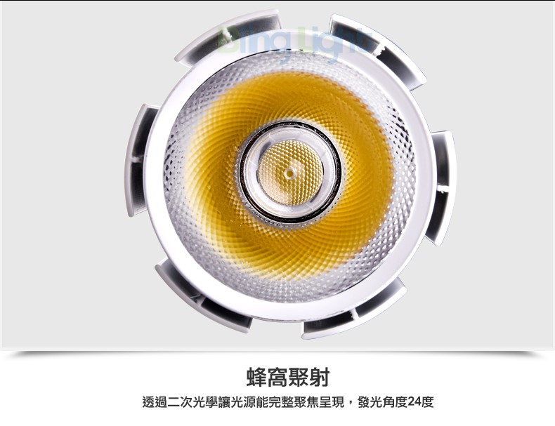 ◎COB鍛面軌道燈/投射燈，24度角，一年保固，15W/20W/30W，白/黃/自然光