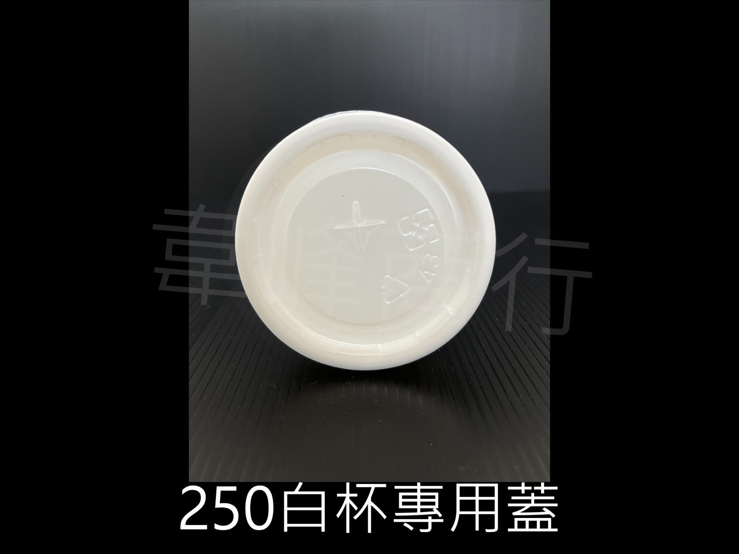 250白杯