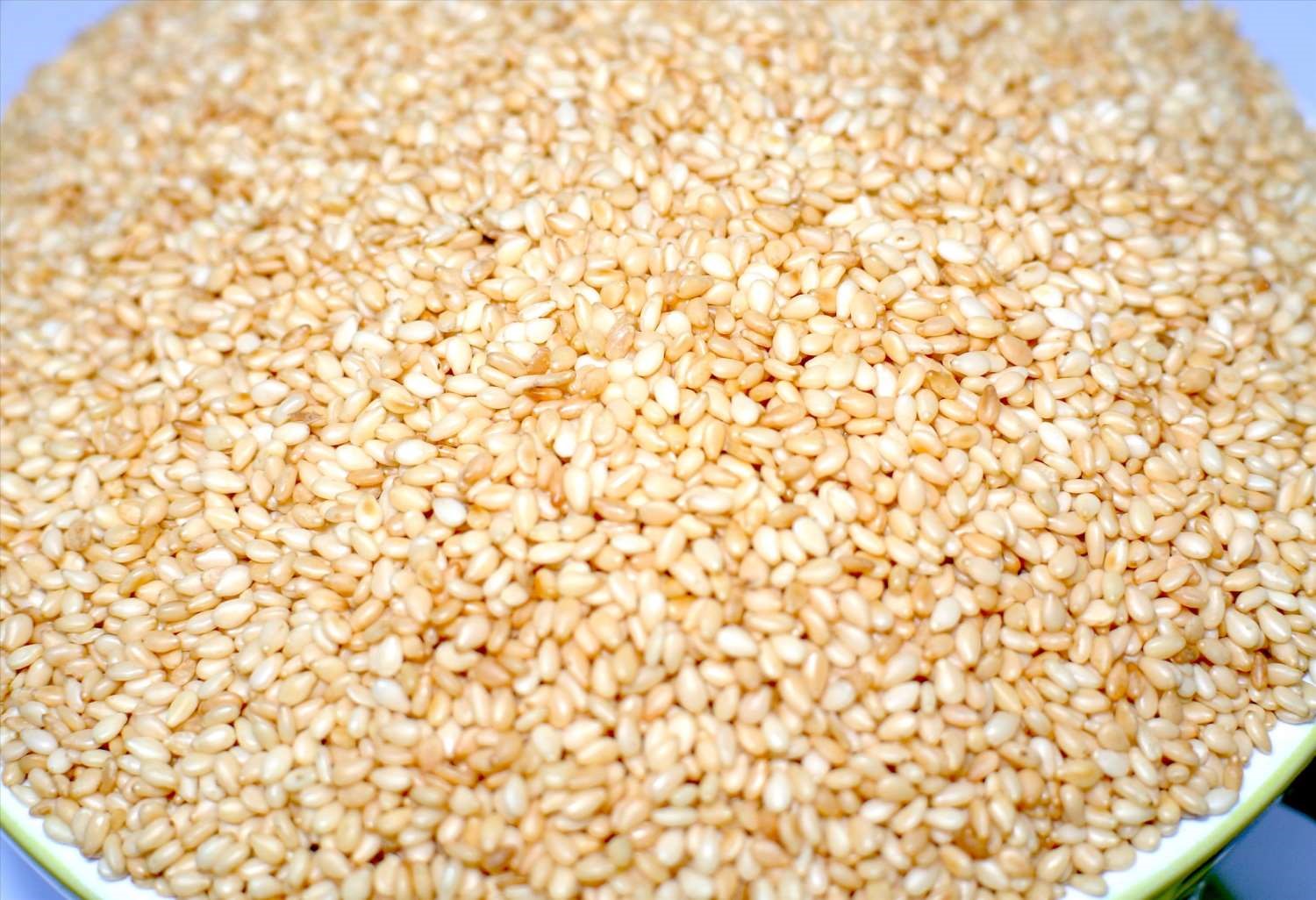 生白芝麻 1kg 