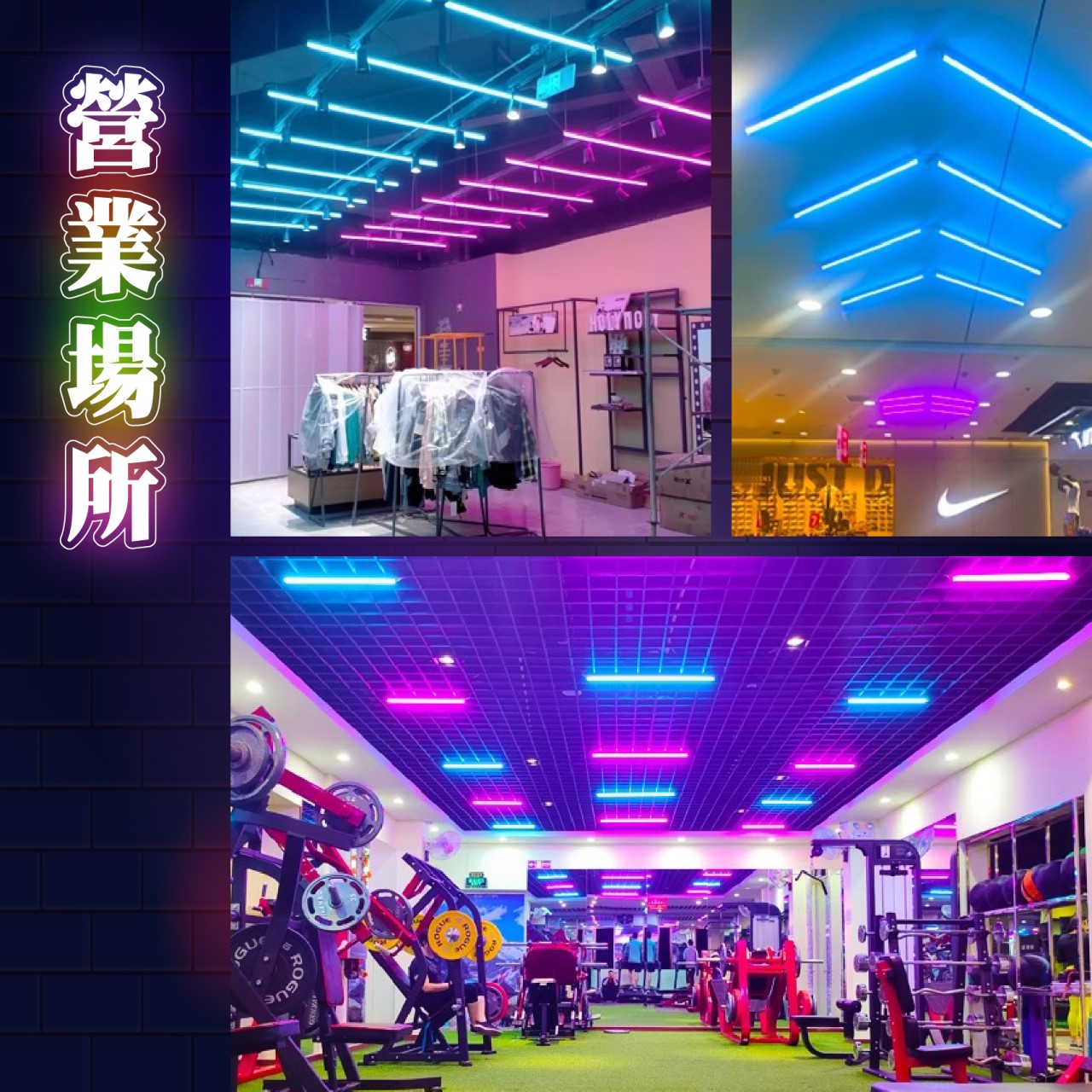 ◎LED T8 彩色霓虹燈管 二尺/四尺/10W/20W  藍/紅/綠/橘/紫