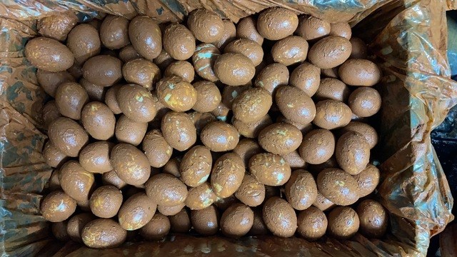 生鹽蛋(土鹽蛋)