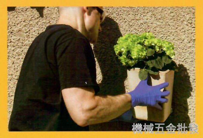 SikaHyflex {西卡} -118 Extreme Grab超能西卡力士膠,手工具