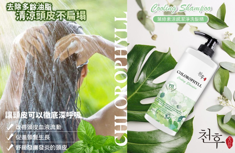 【天后】葉綠素涼感潔淨洗髮精/沐浴乳1000ml