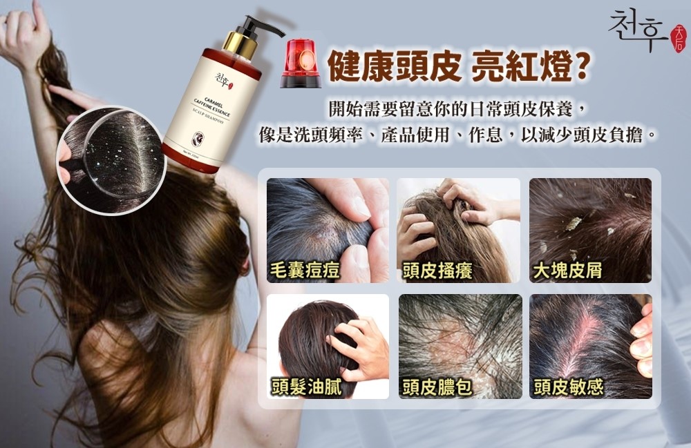 【天后】焦糖咖啡因頭皮護理洗髮精250ml