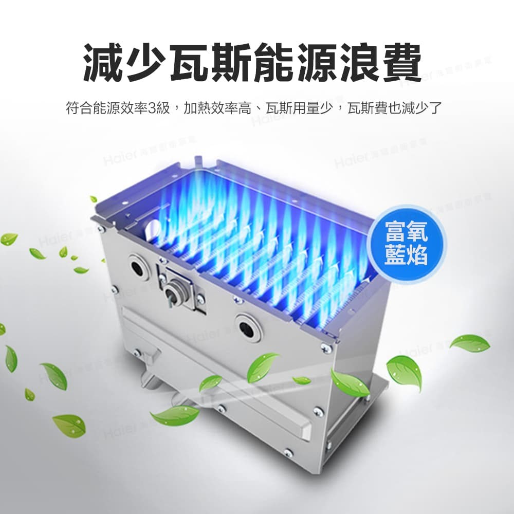 強排恆溫熱水器DC6/五段火排/水伺服/UV抑菌