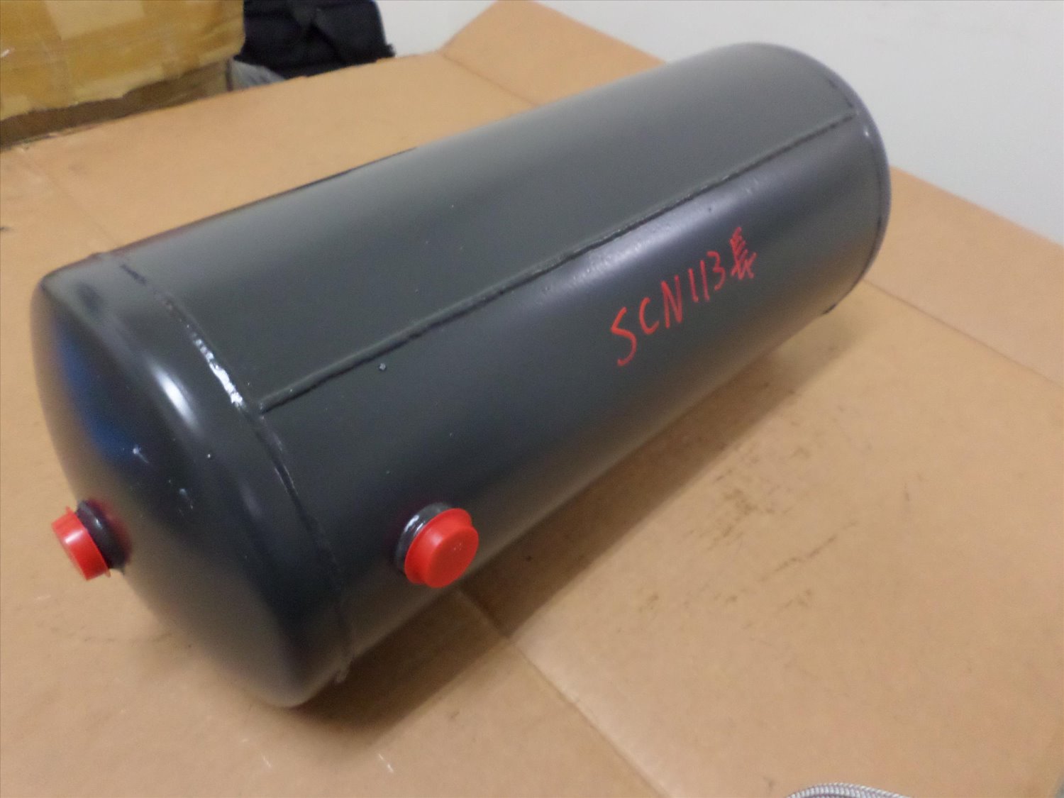 SCN1377864