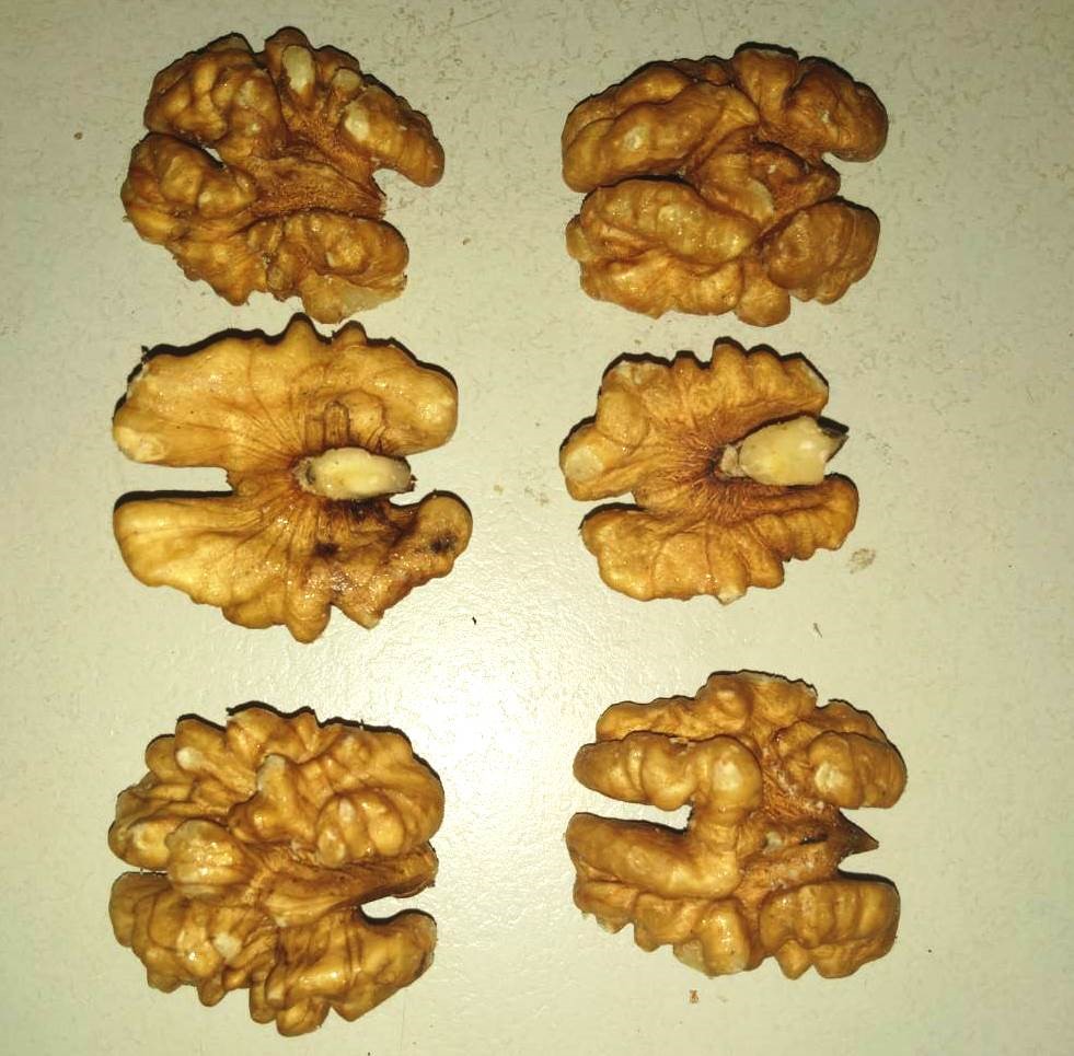 核桃 (生) 600g