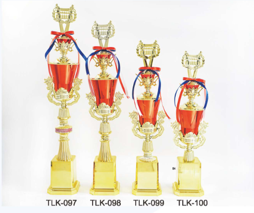 TLK-097-100塑膠獎盃