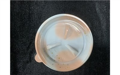 精緻餐盒1