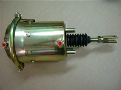 MC886519