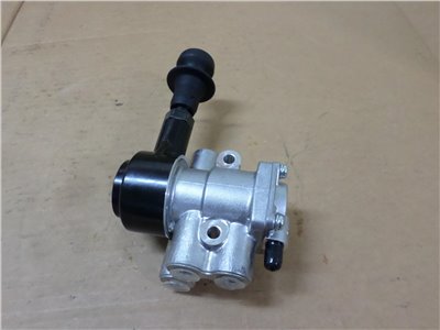 MK449787