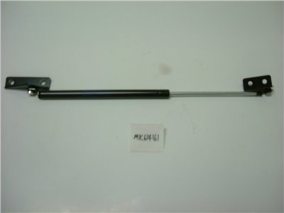MK614161