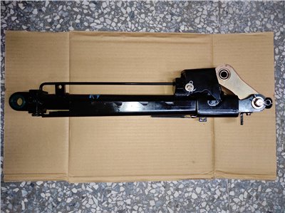 MK622973T