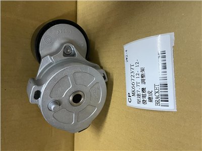 MK667237T