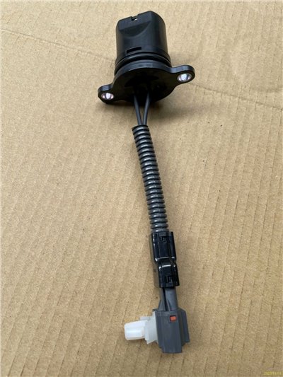 ML338805