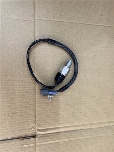 MK542591+