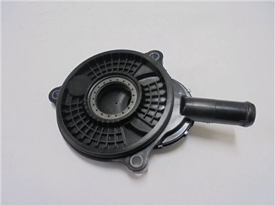 MK667054