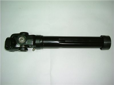 MC818361