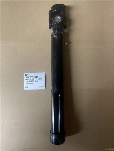MK569231