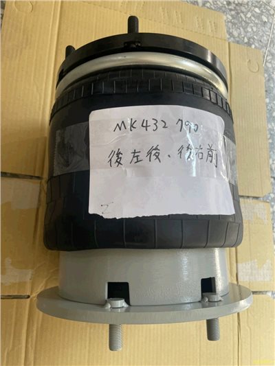 MK432790