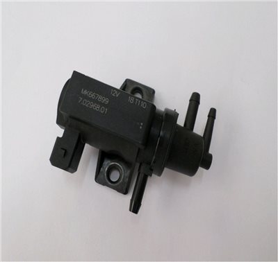 MK667899