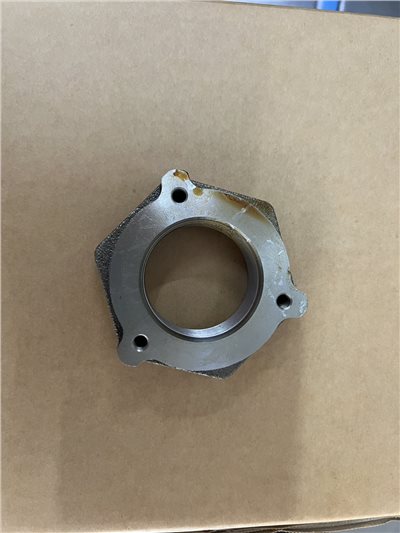 MK428252+