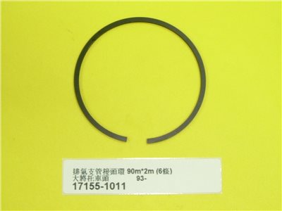17155-1011