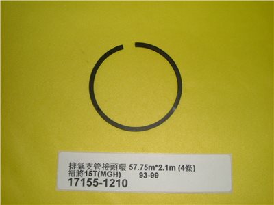 17155-1210