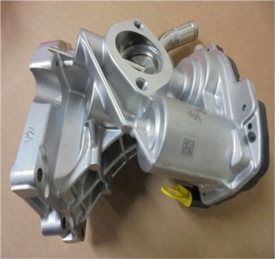 MK667800+