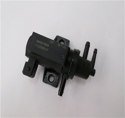 MK667899