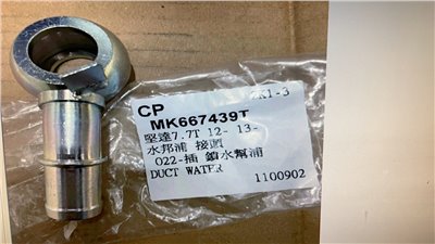 MK667439T
