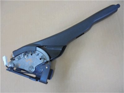 MK602404+