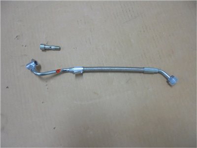 MK667319+