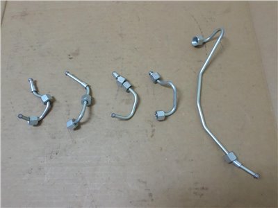 MK667287+