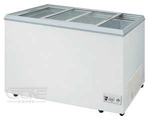 瑞興 6尺玻璃對拉冰櫃_RS-DF600